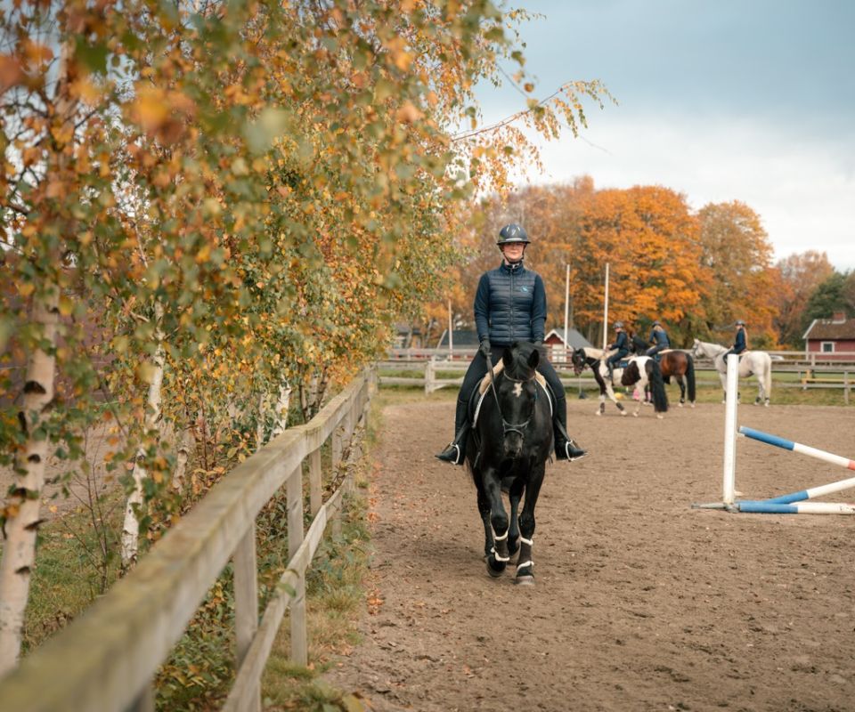 Elev med häst på ridbanan utomhus på Ridgymnasiet i Varberg